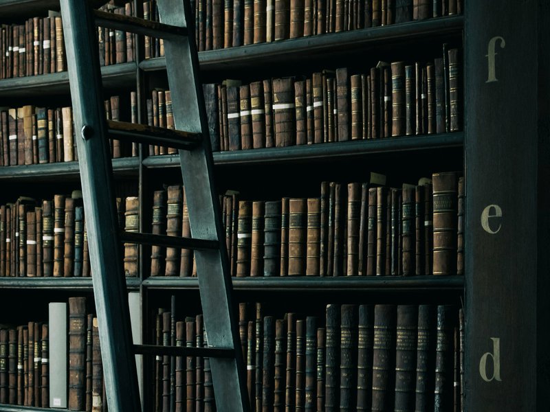Library interior with dark wooden shelves and aged books